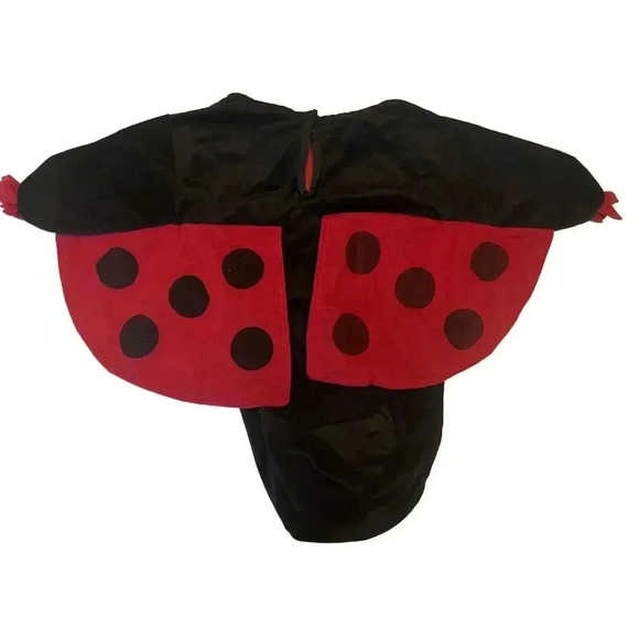 Lady Bug Halloween‎ Costume 0-6m - Picture 3 of 3